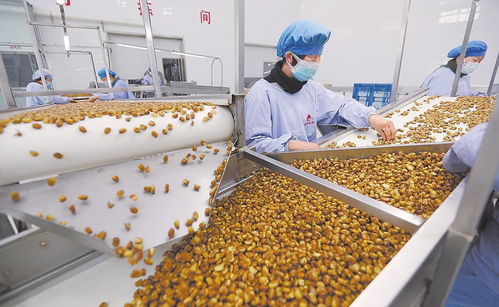 衡水饒陽(yáng)縣鼓勵(lì)有條件的企業(yè)在村里設(shè)置 扶貧車(chē)間