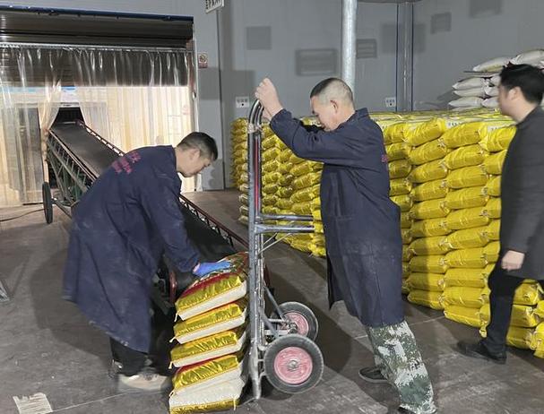 從曾經(jīng)的手工小作坊發(fā)展為一家集糧食基地建設(shè),原料收購(gòu)儲(chǔ)存,大米加工