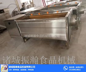 振瀚食品機械 圖 水果清洗機視頻 儋州水果清洗機