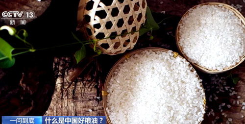精 白 亮 的大米才是好大米嗎 專家 不一定