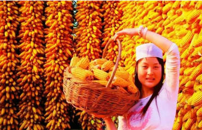 很多人問:我國糧食連續(xù)五年突破6億噸,為何還要大量進(jìn)口糧食?