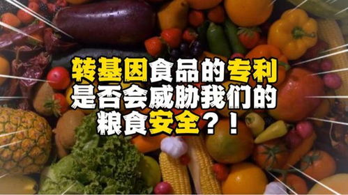 轉(zhuǎn)基因食品的專利是否會威脅到我們的糧食安全