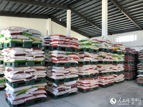 黑龍江藍(lán)谷食品 創(chuàng)新糧食深加工 帶動(dòng)農(nóng)民增產(chǎn)增收