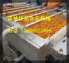 大型藍(lán)莓清洗機(jī),溜溜梅清洗機(jī)型號(hào)原理,大型藍(lán)莓清洗機(jī),溜溜梅清洗機(jī)型號(hào)原理生產(chǎn)廠家,大型藍(lán)莓清洗機(jī),溜溜梅清洗機(jī)型號(hào)原理價(jià)格