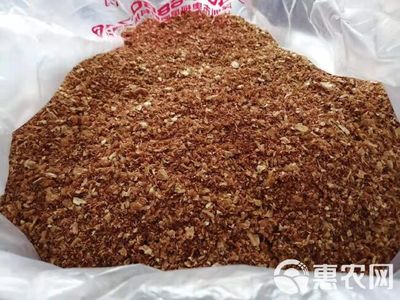 噴漿玉米胚芽粕