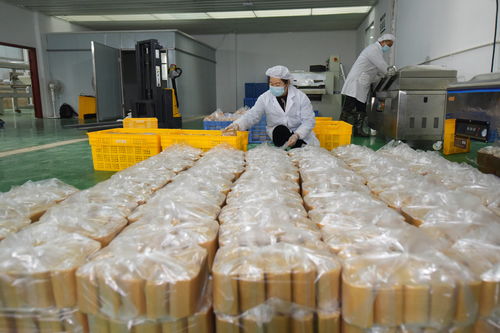 年關(guān)將至 岑鞏特色食品加工忙