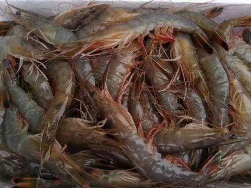 當(dāng)心 海水蝦檢出鎘超標(biāo),吉林通報(bào)11批次不合格食品