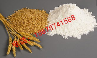 粗糧磨面機(jī)最好用 效果百分百小麥磨面機(jī) 供應(yīng)粗糧磨面機(jī)最好用 效果百分百小麥磨面機(jī)
