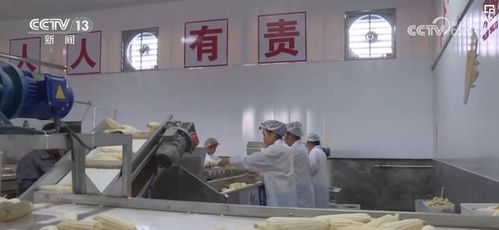 一塊田 釋放土地生產(chǎn)經(jīng)營活力 一村一品 成農(nóng)戶致富 金鑰匙