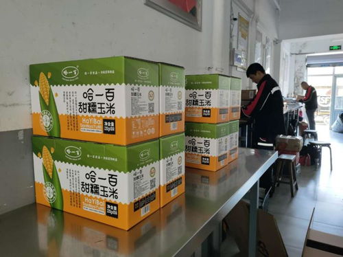 做強(qiáng)綠色食品加工業(yè) 哈一百 小玉米成就 大產(chǎn)業(yè)