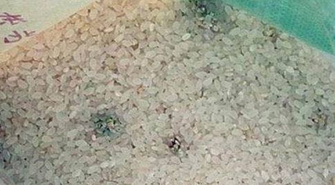 將軍之官 肝臟,最討厭的食物有哪些 這4種表現(xiàn)要重視
